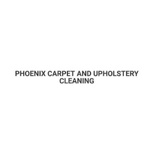 19 best phoenix carpet cleaners