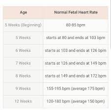 normal fetal heart rate chart by weeks