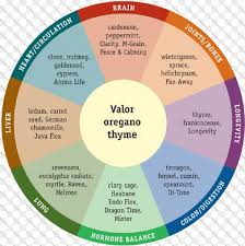 Reasonable Chart Essential Oils Their Uses Essential Oils