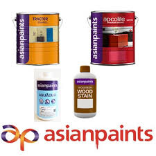 Asian Paints Indograce Projects