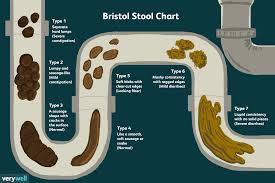 An Overview Of The Bristol Stool Chart