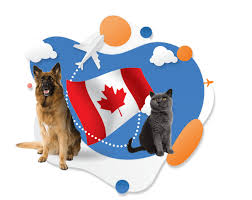 Based out of arizona, happy tails travel is an experienced pet relocation company. Pets To Canada Aeropets Worldwide