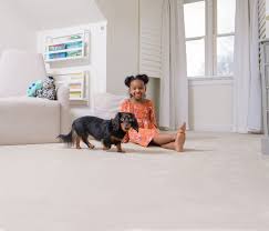 professional carpet cleaning