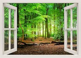 Green Forest Wall Decal 3d Window Frame