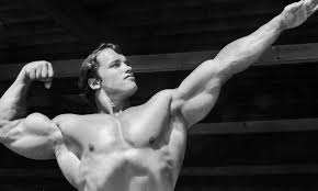 arnold s legendary t and workout plan