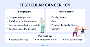 testicular cancer 101 symptoms types