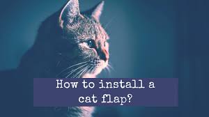how to install a cat flap diverse