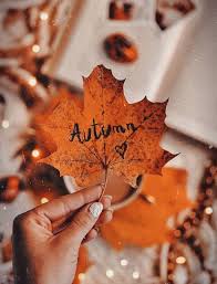 Maybe you would like to learn more about one of these? Image Shared By Huraira Find Images And Videos About Beautiful Photography And Nature On We Heart It The Cute Fall Wallpaper Fall Wallpaper Autumn Leaves
