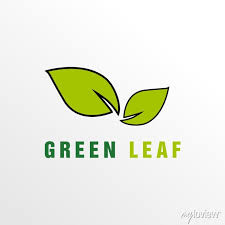 Green Leaf Logo Icon Vector Design