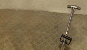 professional carpet cleaning service in
