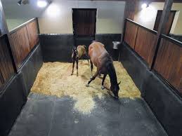 lecomfort stall kit system equine