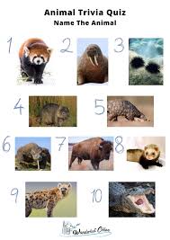 Probably so, if you ace this quiz. 50 Animal Trivia Questions To Test Your Knowledge 2021