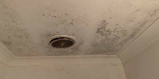 is your bathroom causing mould to grow