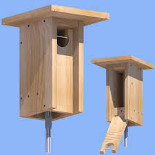 Bluebird Nestbox Plans