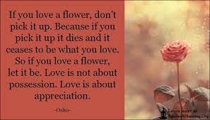So if you love a flower, let it be. Pin On Spiritualcleansing Quotes