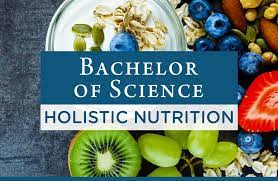 holistic nutrition american college