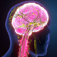Arquivo de neurologia - Clínica do Cérebro Neurocare