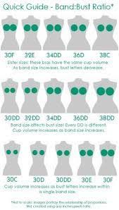 Difference Between 32d And 32dd Google Search Fashion