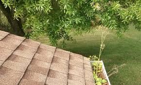 Gutter Cleaning Bergen County Nj