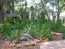Florida Native Landscape Design