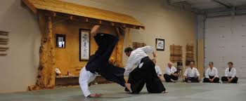 In this japanese art, you use your whole body to make someone fall. Bozeman Aikido
