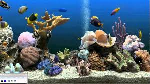 live aquarium wallpaper windows 7