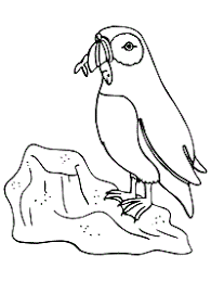 Birds coloring page to download. Sea Birds Marine Birds Coloring Pages And Printable Activities