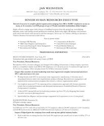 Automobile Resume Template         Free Word  PDF Documents Download     toubiafrance com Risk Consultant CV    