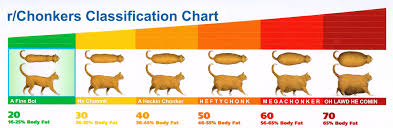 Heres A Chart To Help Classify Your Chonker Chonkers