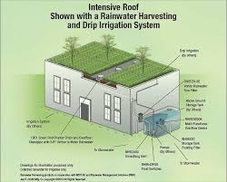 Green Roof Rainwater Harvesting