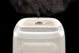 7 best humidifiers 2023 the strategist