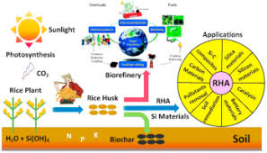 Rice Husk Silica Derived Nanomaterials For Sustainable
