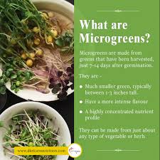 microgreens the nutritional power s