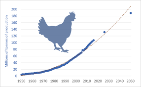 Earths Dominant Bird A Look At 100 Years Of Chicken