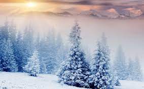 Winter Wonderland Sunrise - 1600x1000 ...