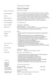 Business Developer Resume Business Developer Resumes Business