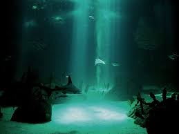 Underwater wallpaper ...