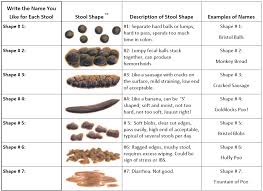 Row Row Fight Tha Powah Can The Bristol Stool Chart Make It