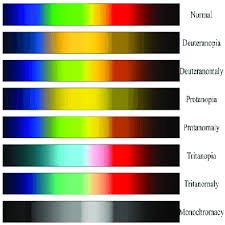 top color spectrum that non colorblind