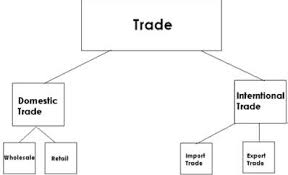 Create A Flowchart Showing The Types Of Trade Write Answers
