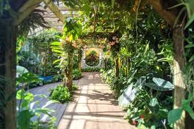 Visit Marie Selby Botanical Gardens