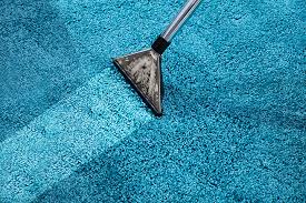 6 best carpet cleaning services in wyoming