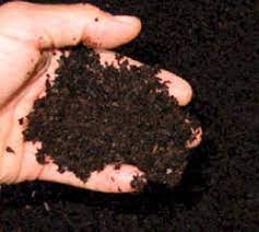 using manure in the home garden