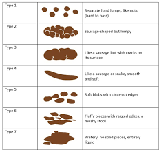 how to use the bristol stool chart in