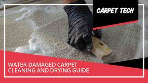 carpet water damage how to dry wet carpet