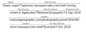 Online Sources Citing Information Libguides At