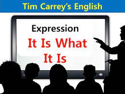 expression idiom it is what it is