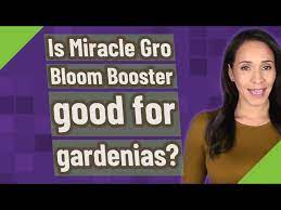 Is Miracle Gro Bloom Booster Good For