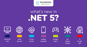 asp net core in net 5 what s new in