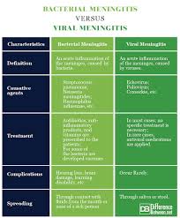 Difference Between Bacterial And Viral Meningitis